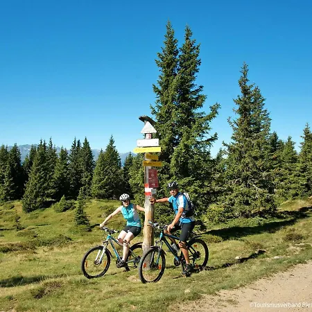 Tom & Jeri - 2 By Interhome アパート カプルーン